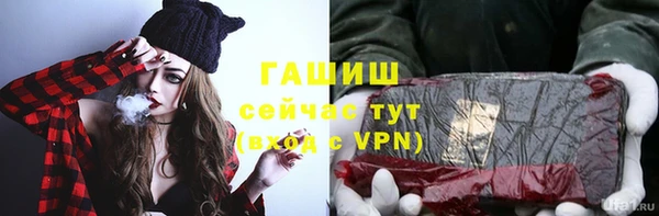 сатива Козельск