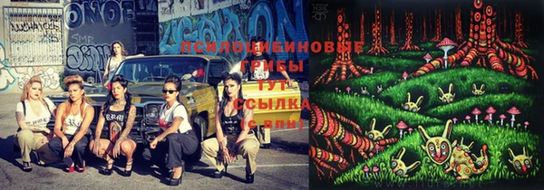 дурь Козловка
