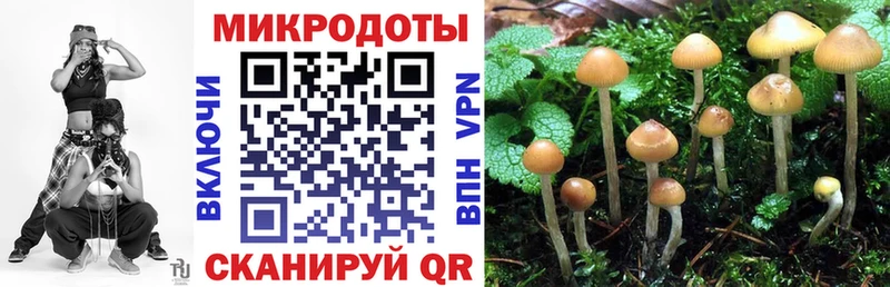 hydra рабочий сайт  наркотики  Циолковский  Галлюциногенные грибы Psilocybine cubensis 
